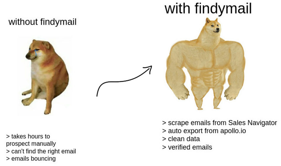 Findymail