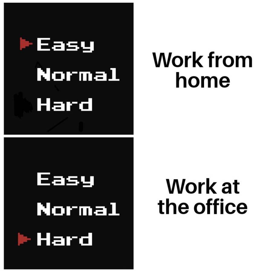 Working from home meme
