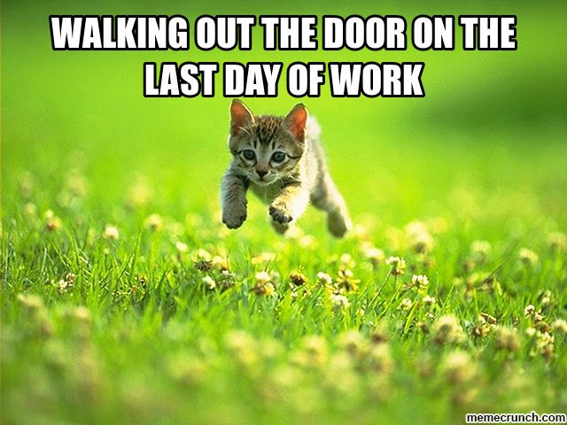 Kittens - last day of work meme
