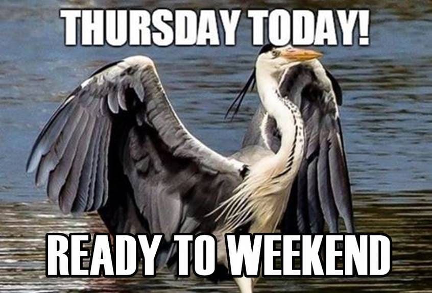 15 Thursday Memes for Work to Help get you to the Weekend